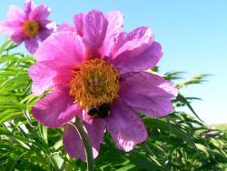 post-802-041253100 1276935971_thumb.jpg