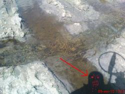 post-802-056225100 1276097564_thumb.jpg