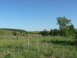 post-802-093489300 1276935834_thumb.jpg