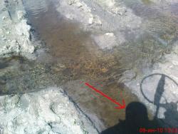 post-84-017509400 1276096478_thumb.jpg