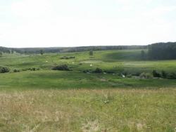 post-1697-0-20315000-1308719999_thumb.jp