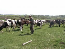 post-1697-0-27309900-1308143085_thumb.jp