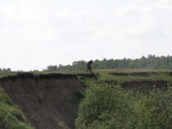 post-1697-0-35911400-1308143650_thumb.jp