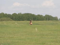 post-1697-0-57524600-1308143783_thumb.jp