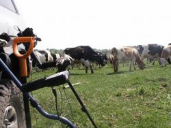 post-1697-0-61481000-1308143034_thumb.jp