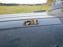 post-1697-0-66163300-1308846716_thumb.jp