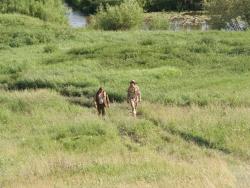 post-1697-0-99043000-1308720421_thumb.jp