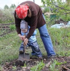 post-1887-0-10396300-1306942302_thumb.jp