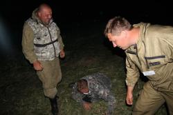 post-2232-0-40151400-1308752367_thumb.jp