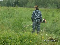 post-2293-0-95054700-1309189311_thumb.jp