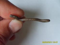 post-2369-0-71017500-1307625598_thumb.jp