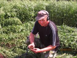 post-2511-0-19069200-1308840586_thumb.jp