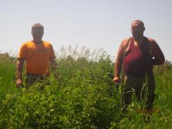 post-2511-0-31080900-1308846632_thumb.jp