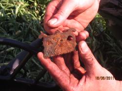 post-2511-0-35539700-1308840642_thumb.jp