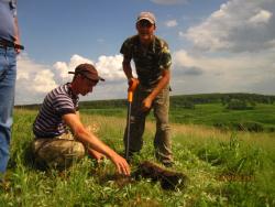 post-2511-0-71658200-1308840652_thumb.jp