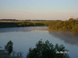 post-2817-0-62679100-1309351175_thumb.jp