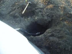 post-2863-0-00561200-1309205831_thumb.jp