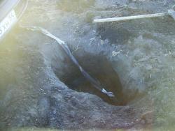 post-2863-0-00957300-1309205799_thumb.jp