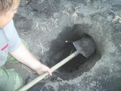 post-2863-0-18925200-1309205870_thumb.jp