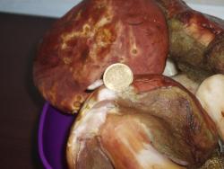 post-3030-0-23271200-1309104870_thumb.jp