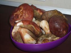 post-3030-0-69098100-1309103563_thumb.jp