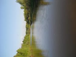 post-4170-0-11526000-1306946228_thumb.jp