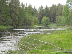 post-4170-0-20135300-1306946437_thumb.jp