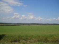 post-4170-0-20839100-1306944888_thumb.jp