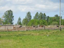 post-4170-0-32476000-1306946655_thumb.jp