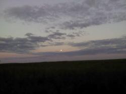 post-4170-0-36523700-1308244211_thumb.jp