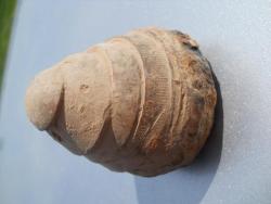 post-4170-0-40706000-1306946942_thumb.jp