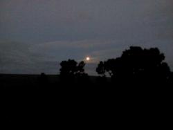 post-4170-0-45938100-1308244234_thumb.jp