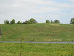 post-4170-0-47091200-1306946771_thumb.jp