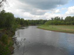 post-4170-0-52755100-1306946375_thumb.jp