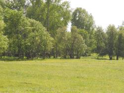 post-4170-0-59666800-1306946666_thumb.jp