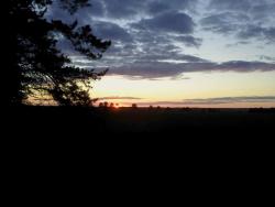 post-4170-0-63412400-1308244200_thumb.jp