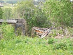 post-4170-0-92800700-1306946584_thumb.jp