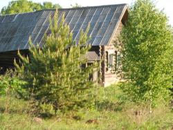 post-4170-0-99481900-1306946059_thumb.jp