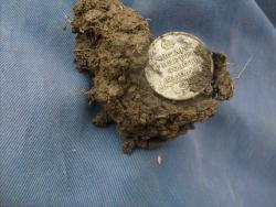 post-4298-0-10819100-1308505085_thumb.jp