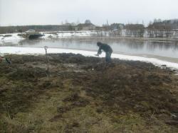 post-4298-0-17956800-1309166408_thumb.jp