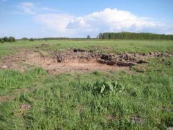 post-4298-0-23755900-1308981008_thumb.jp