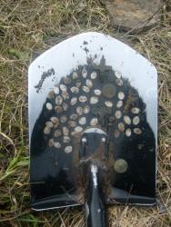 post-4298-0-33734600-1309166415_thumb.jp