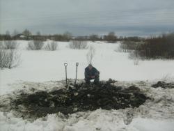 post-4298-0-42142600-1309166391_thumb.jp