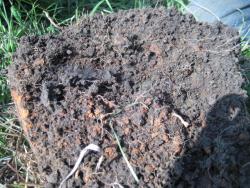 post-4298-0-42546800-1307357142_thumb.jp