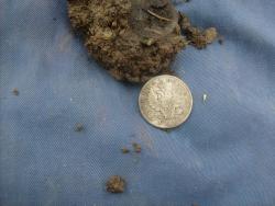 post-4298-0-76114300-1308505269_thumb.jp