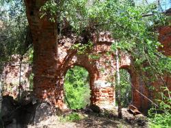 post-4341-0-29445700-1308422282_thumb.jp