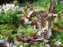 post-4485-0-97993600-1308991456_thumb.jp