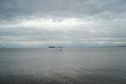 post-4799-0-45221600-1309087766_thumb.jp