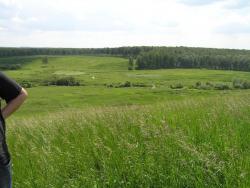 post-5029-0-04537000-1308488781_thumb.jp