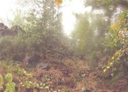 post-5029-0-23329900-1308066384_thumb.jp